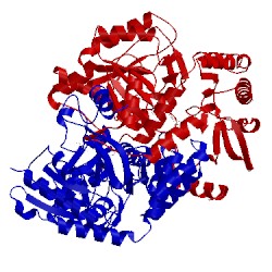 Image of CATH 4xew
