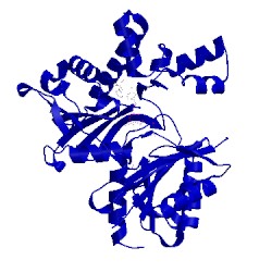 Image of CATH 4xh1