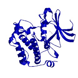 Image of CATH 4xh6