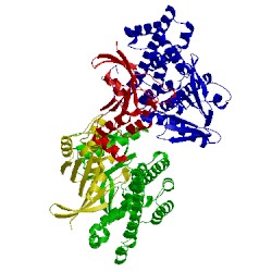 Image of CATH 4xh9