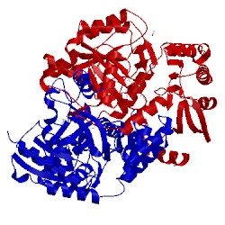 Image of CATH 4xjl