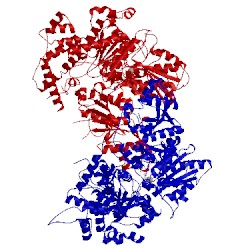 Image of CATH 4xjx