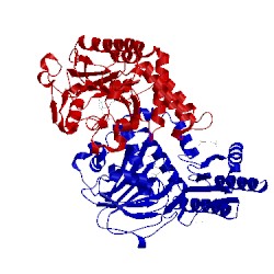 Image of CATH 4xk1