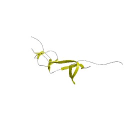 Image of CATH 4xkdE01
