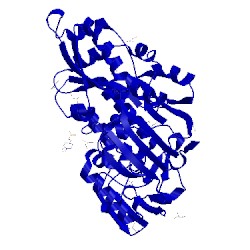 Image of CATH 4xkq