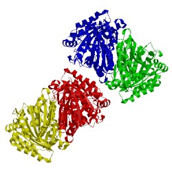 Image of CATH 4xlo