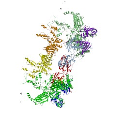 Image of CATH 4xls