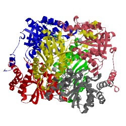 Image of CATH 4xm2