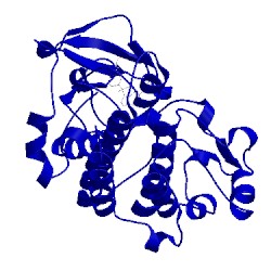 Image of CATH 4xmo