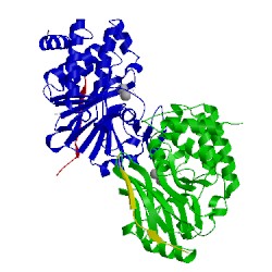 Image of CATH 4xpn