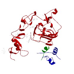 Image of CATH 4xss