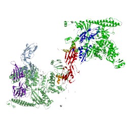 Image of CATH 4xsz