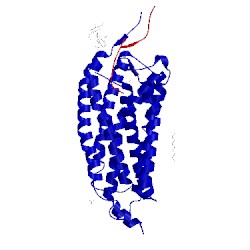 Image of CATH 4xt3