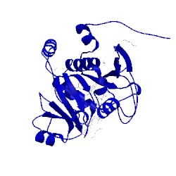 Image of CATH 4xt8