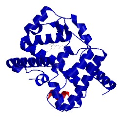 Image of CATH 4xt9