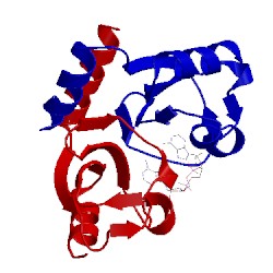 Image of CATH 4xtt