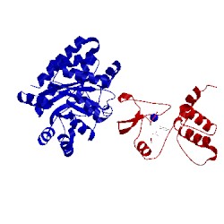 Image of CATH 4xug