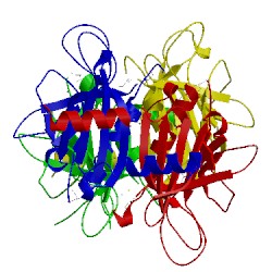 Image of CATH 4xuu