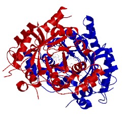 Image of CATH 4xvd