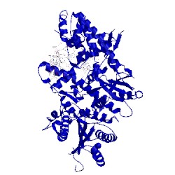 Image of CATH 4xvk