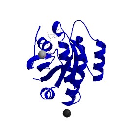 Image of CATH 4xvr