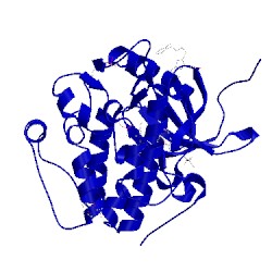 Image of CATH 4xx9