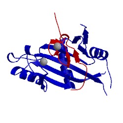Image of CATH 4xxb