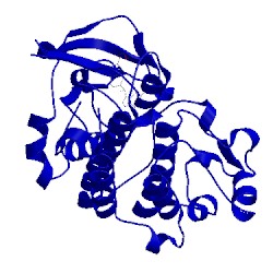 Image of CATH 4xyf