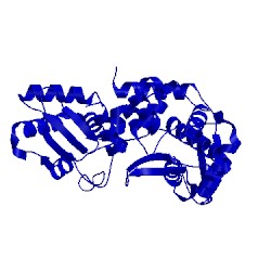 Image of CATH 4y07