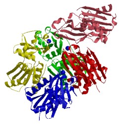 Image of CATH 4y0w