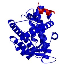 Image of CATH 4y29