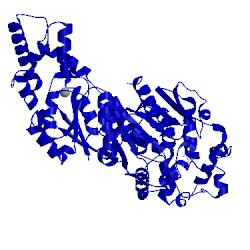 Image of CATH 4y2q