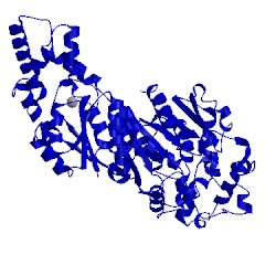 Image of CATH 4y2x