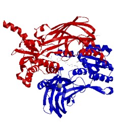 Image of CATH 4y30