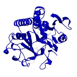 Image of CATH 4y62