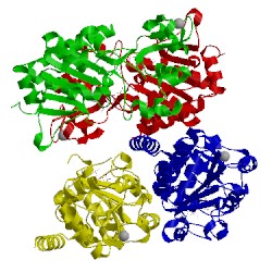 Image of CATH 4y6q