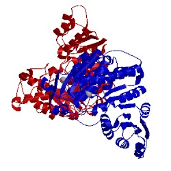 Image of CATH 4y6s