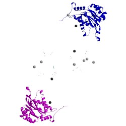 Image of CATH 4y8i