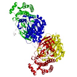 Image of CATH 4y95