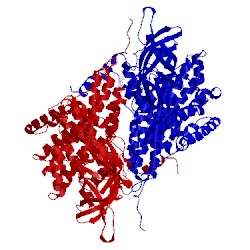 Image of CATH 4y9l