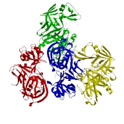 Image of CATH 4ya8