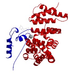 Image of CATH 4yc7
