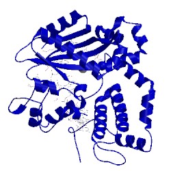 Image of CATH 4ycx