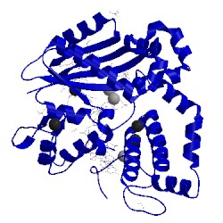 Image of CATH 4yd1