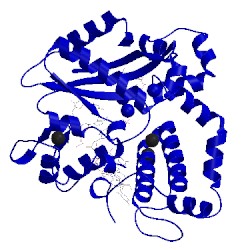 Image of CATH 4yd2