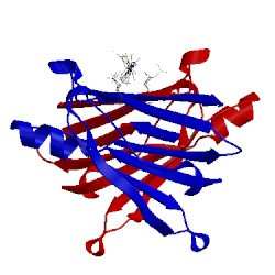 Image of CATH 4ydn