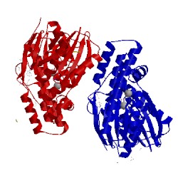 Image of CATH 4ydu