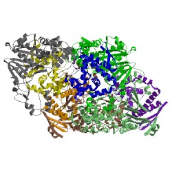 Image of CATH 4yfb