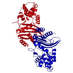 Image of CATH 4yfm