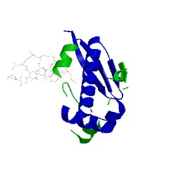 Image of CATH 4yft